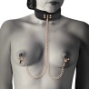 Coquette Fantasy Collar With Nipples Clamps - PR2010368824